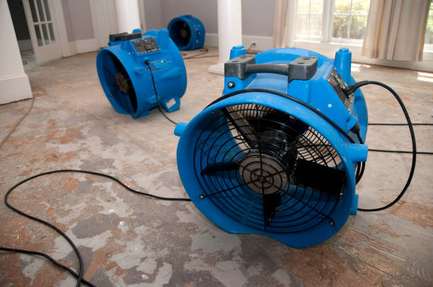 Best Professional water damage repair  in Collinsville, OK